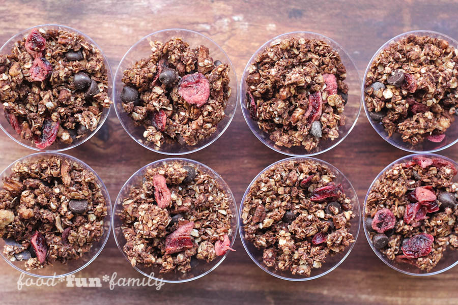 Homemade Dark Chocolate Granola with Cranberries recipe from Food Fun Family