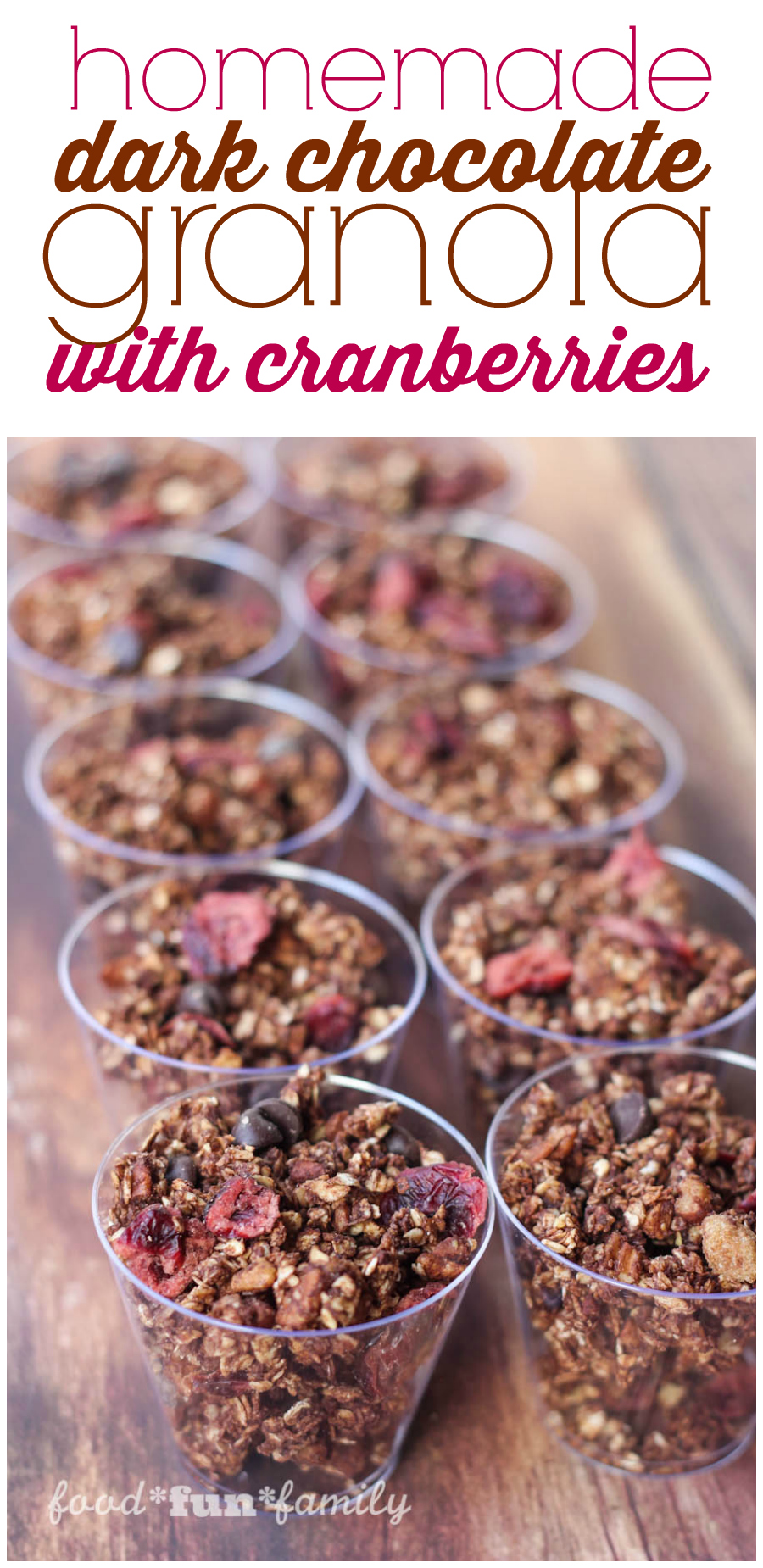 Homemade Dark Chocolate Granola with Cranberries recipe from Food Fun Family