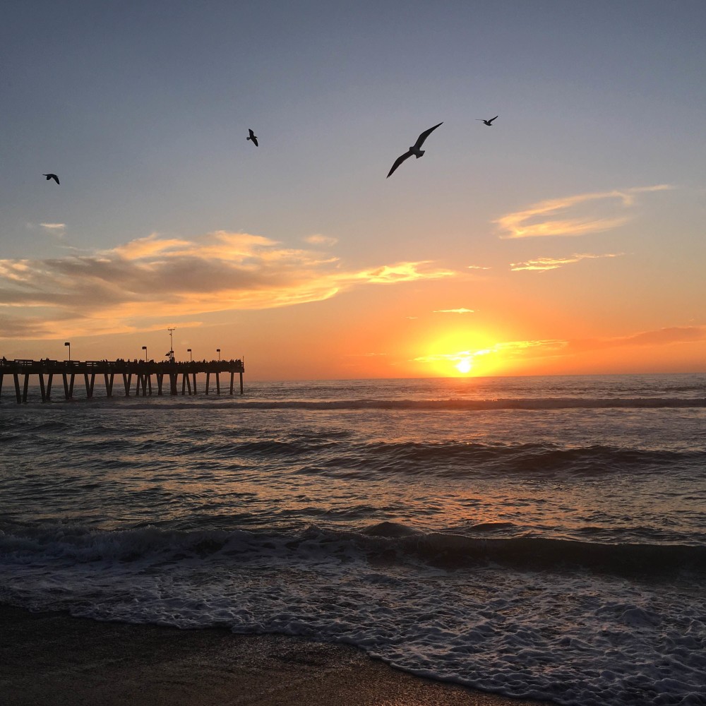 Florida Sunset at Venice Beach by Food Fun Family