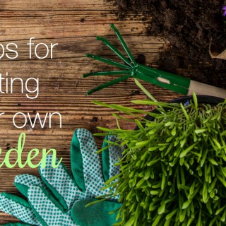 5 tips for starting your own garden - for gardening newbies who would like to try gardening as a new hobby