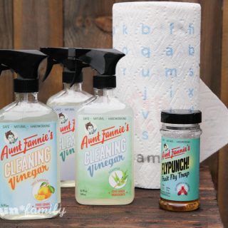 Aunt Fannie's Cleaning Vinegar and FlyPunch: plant-based, non-toxic cleaners and pest control that is safe to use around food, children, and pets #HealthierHousekeeping