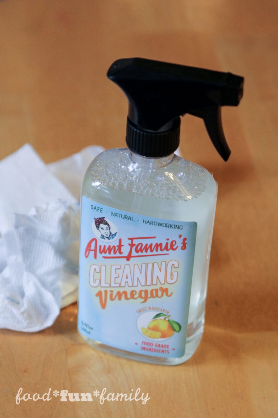 Aunt Fannie's Cleaning Vinegar and FlyPunch: plant-based, non-toxic cleaners and pest control that is safe to use around food, children, and pets #HealthierHousekeeping