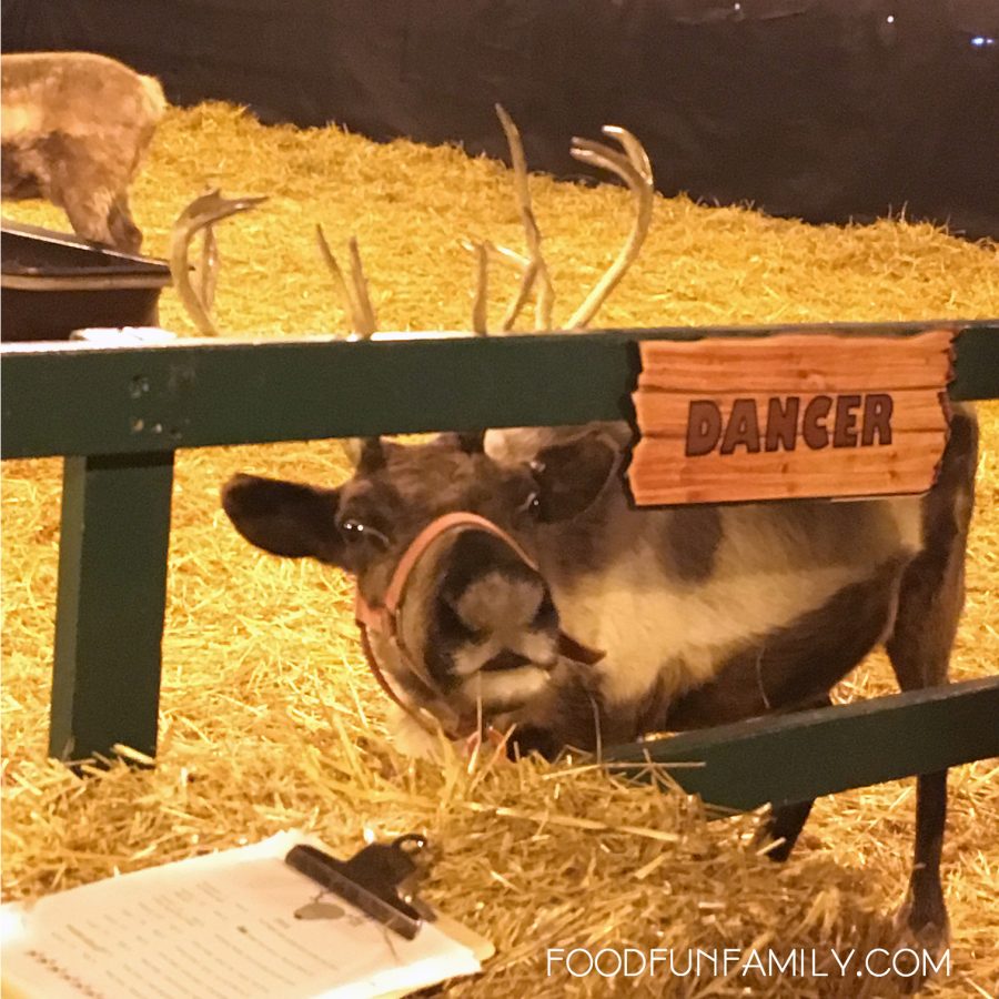 6 Things to Do at Hersheypark Christmas Candylane