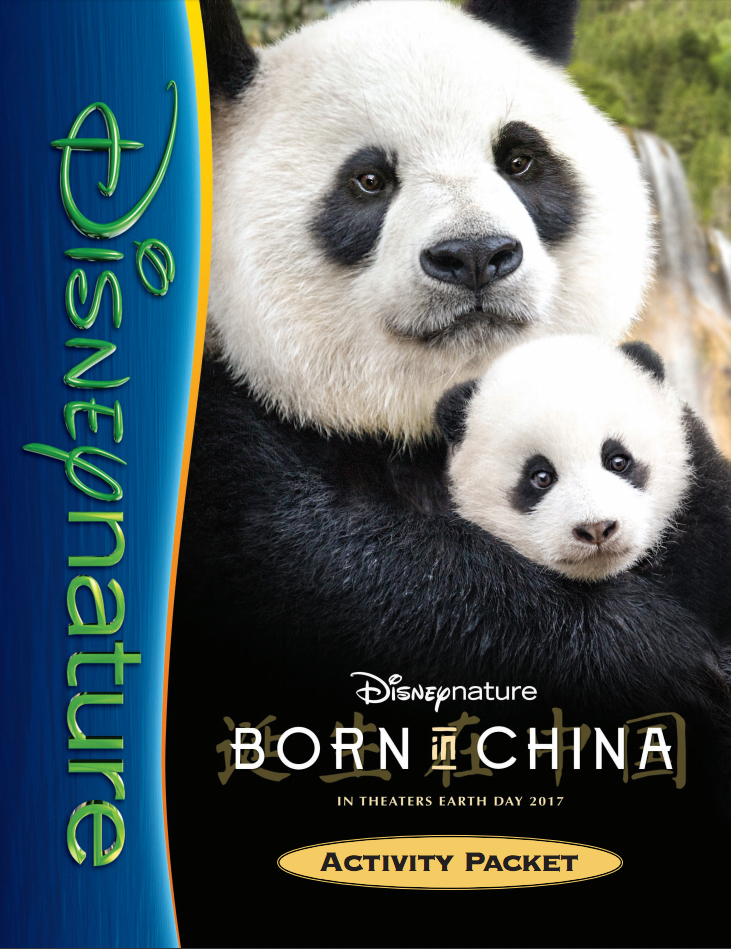 Born In Chine Activity Packet