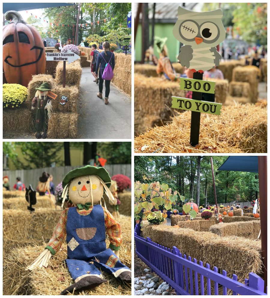 Great Pumpkin Fest at Kings Dominion