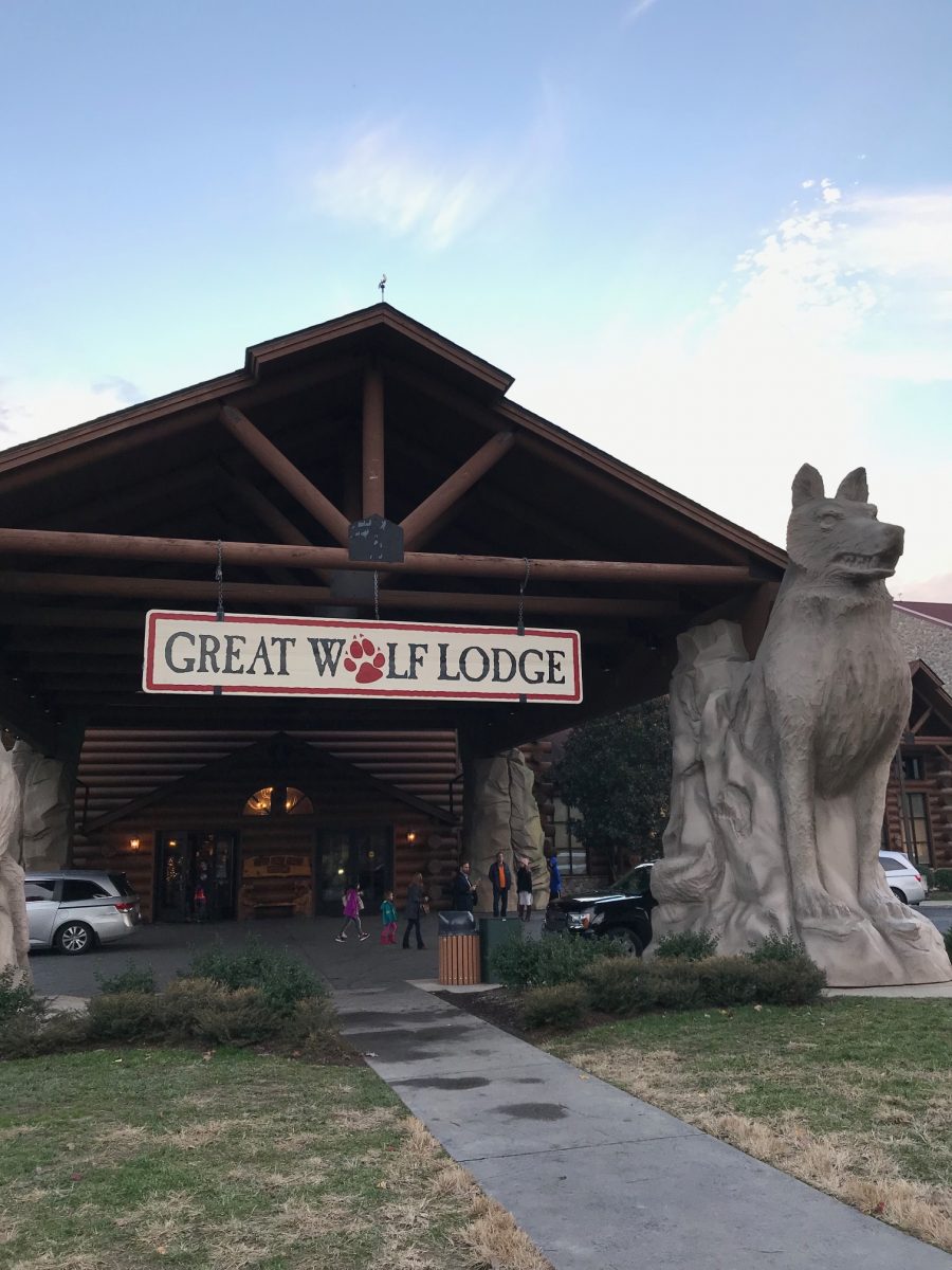 Snowland at Great Wolf Lodge: A True Winter Wonderland!